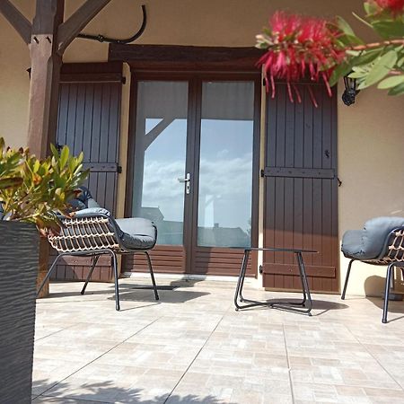 Chateau  L Olivier De St Leger B&B 외부 사진