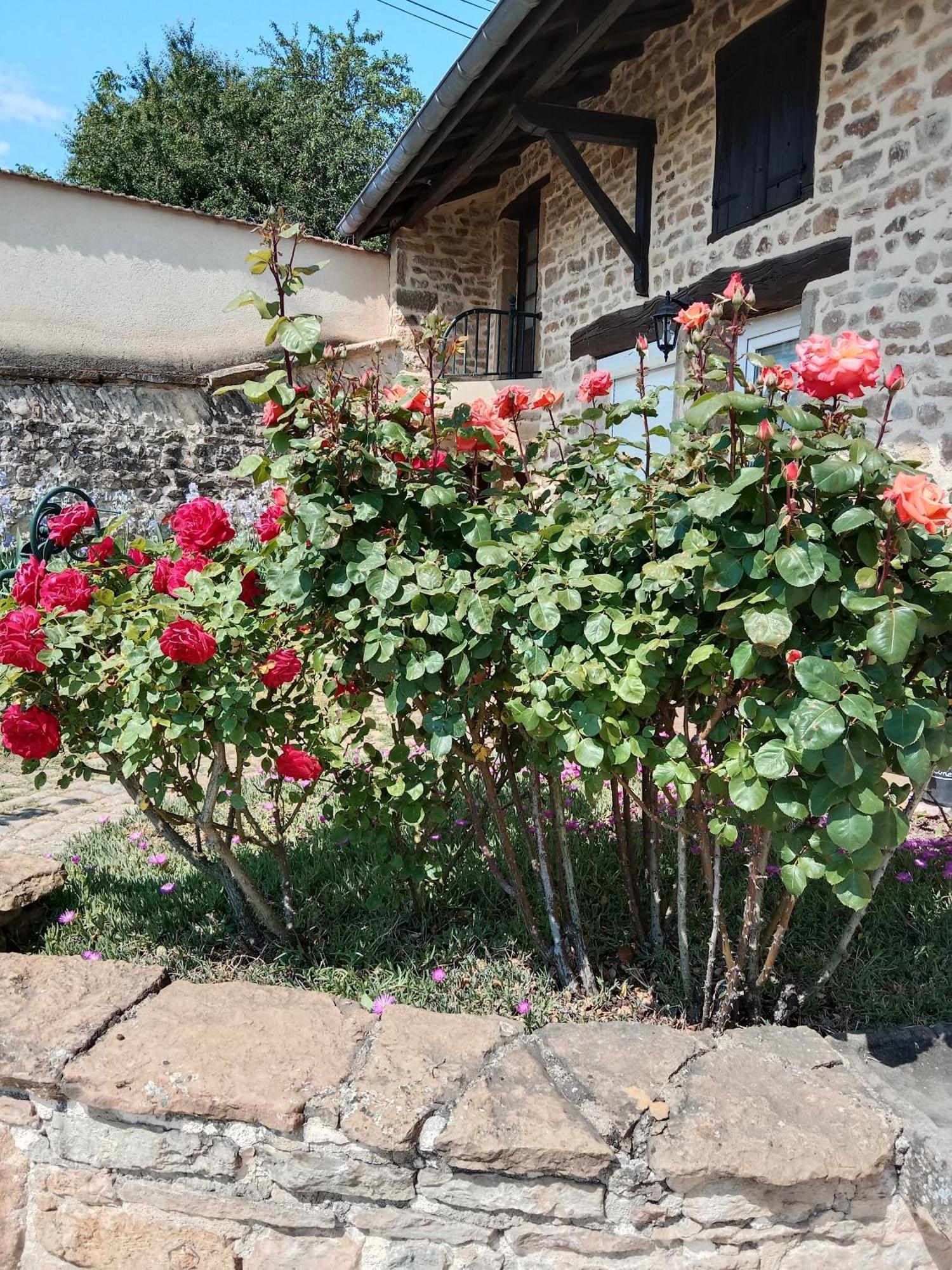 Chateau  L Olivier De St Leger B&B 외부 사진